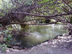 /Upload/Gallery/Alexy's Paints/jordan river2.JPG